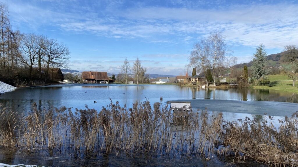 ideale-familienwohnung-mit-fantastischem-garten-bueron-7